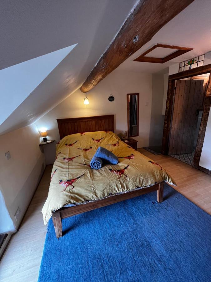 Annie'S Cottage Llanrhaeadr-ym-Mochnant 외부 사진